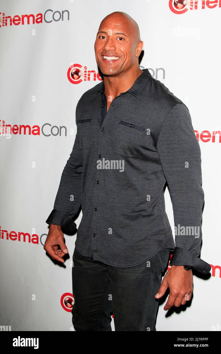 LOS ANGELES - MAR 24: Dwayne Johnson, The Rock at the Paramount
