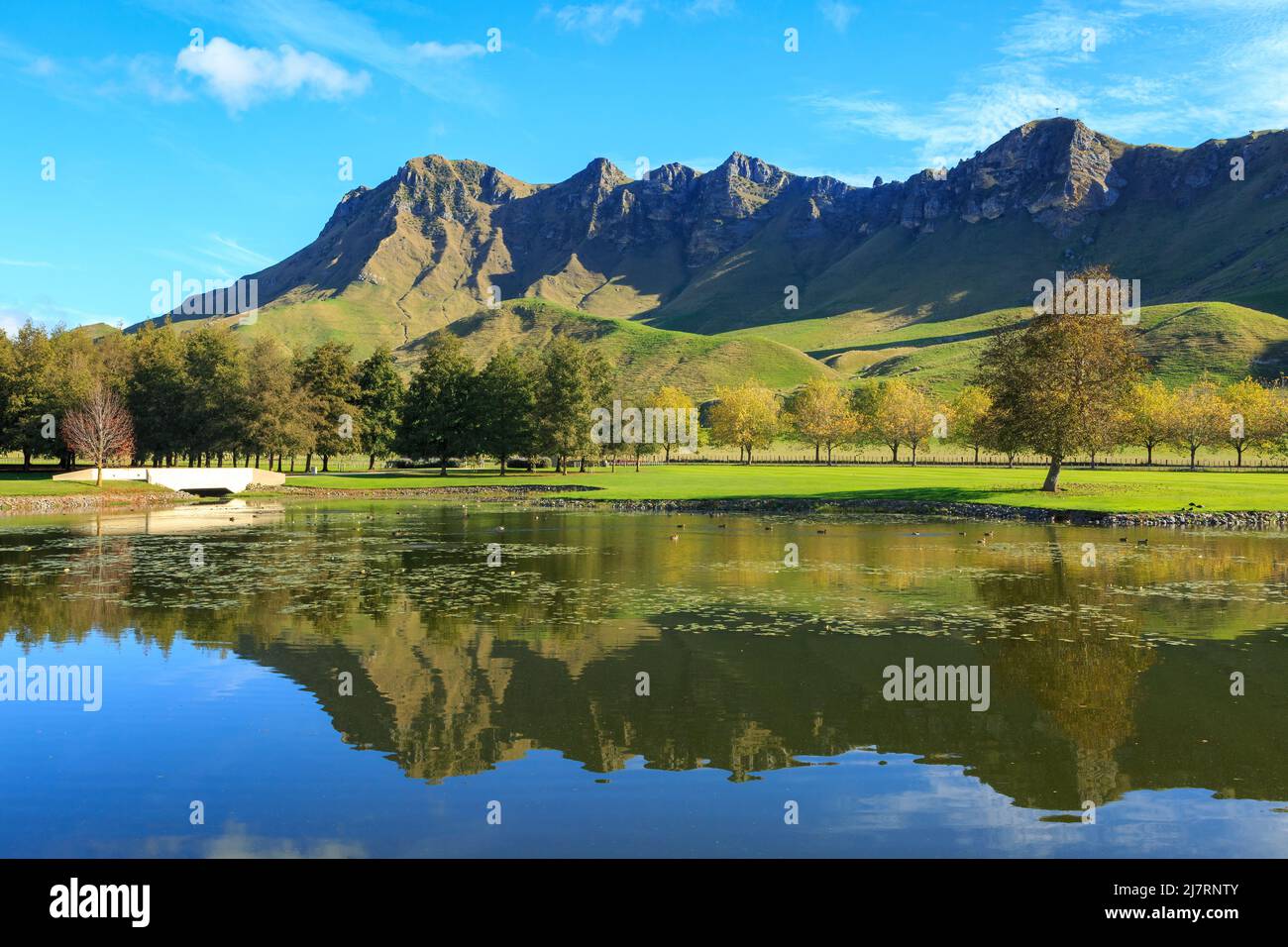 Te Mata Peak, a mountain in the Hawke's Bay region, New Zealand, reflected in a lake Stock Photo
