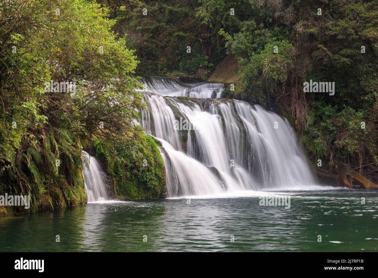 Maraetotara Falls, a beautiful waterfall in native forest in the Hawke's Bay region, New Zealand Stock Photo