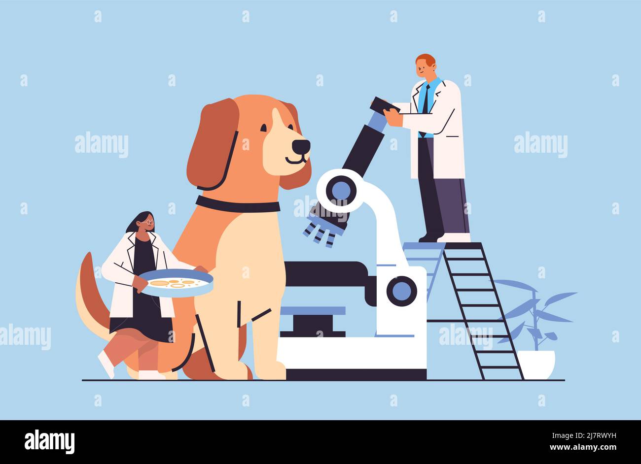 scientists doing experiments in lab veterinary workers with ...