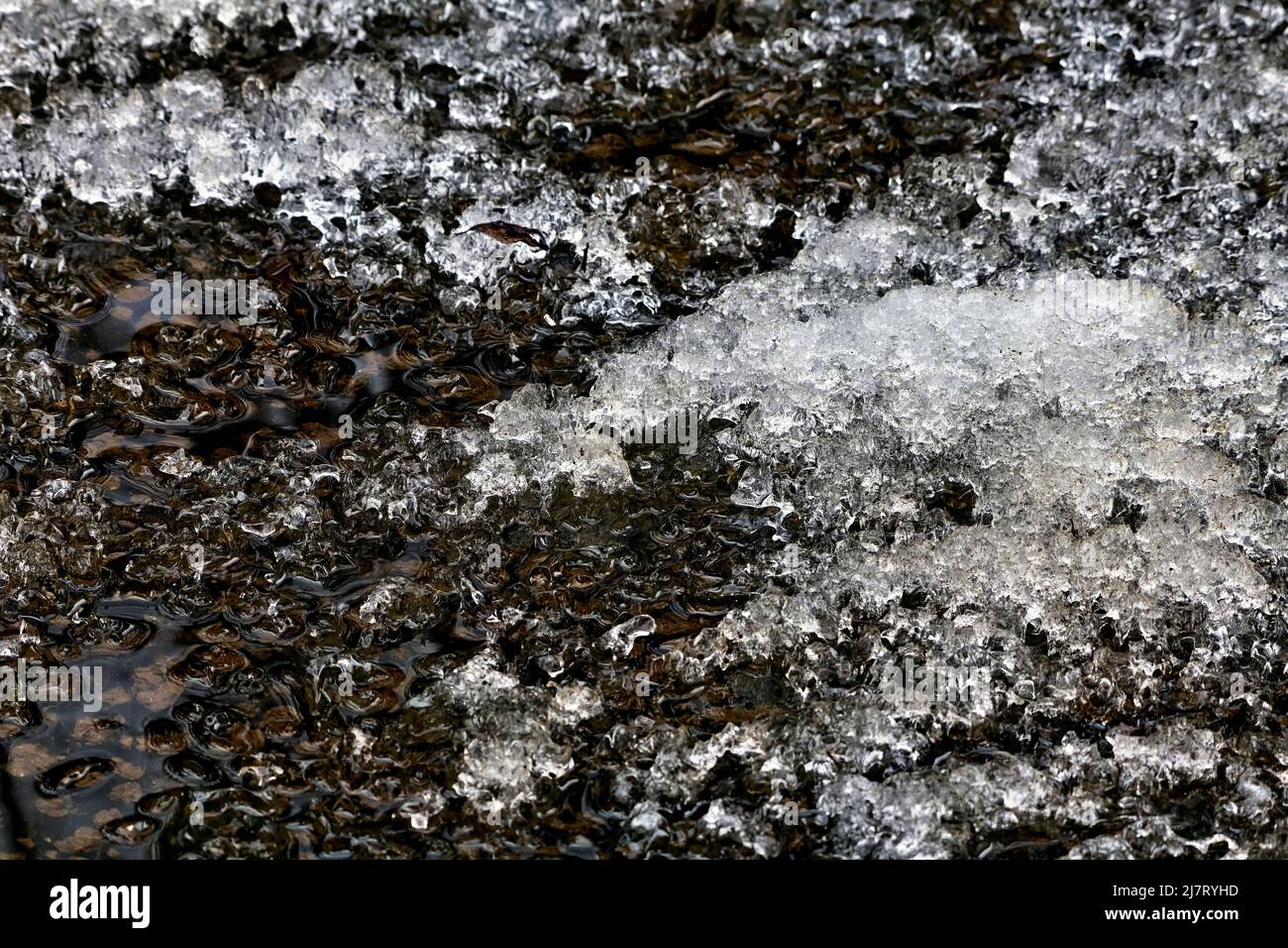 Frozen water in a brook in the spring season Stock Photo