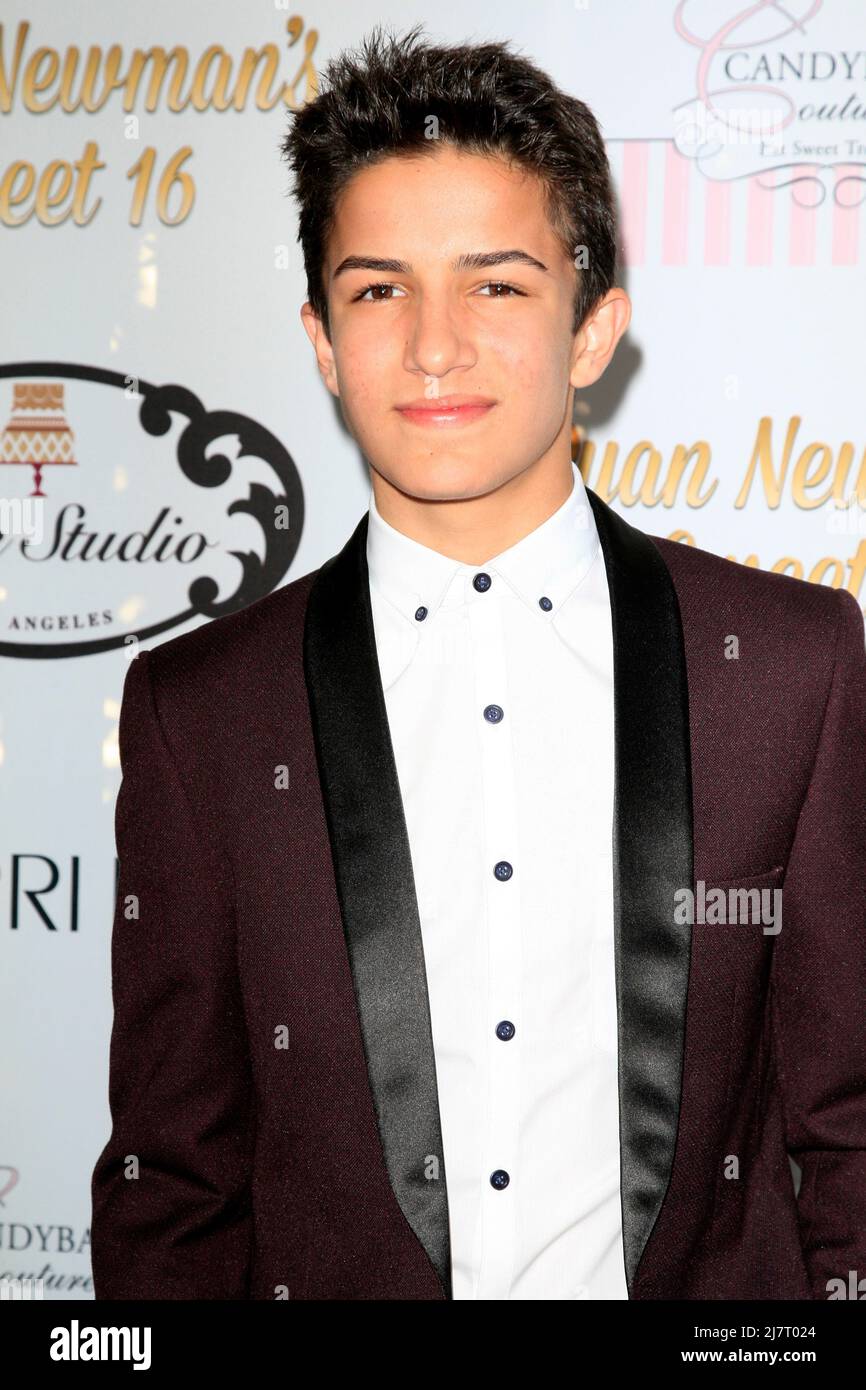 LOS ANGELES - APR 27: Aramis Knight at the Ryan Newman’s Glitz and Glam