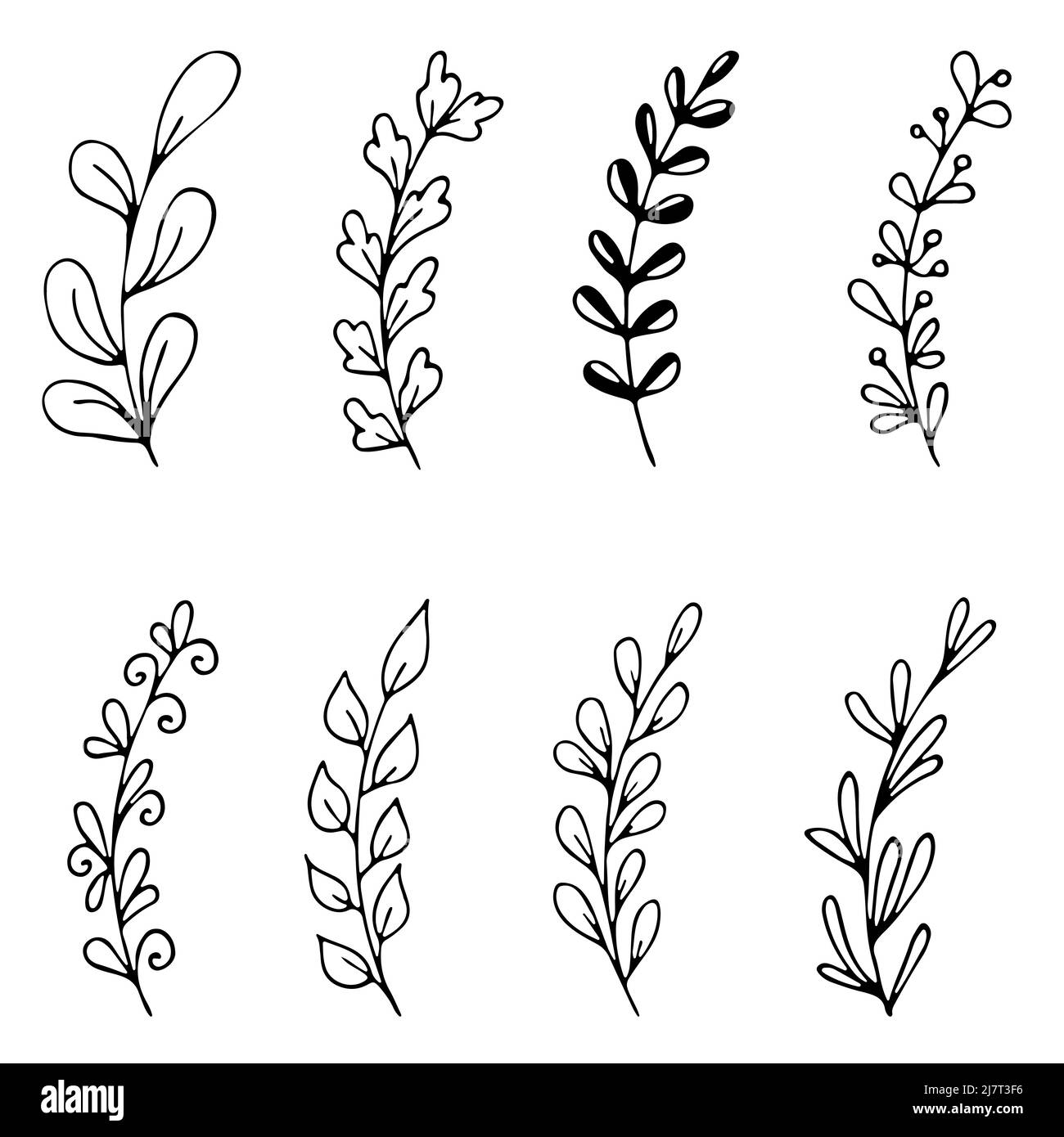 Set of hand drawn doodle tree branches with leaves on white background ...