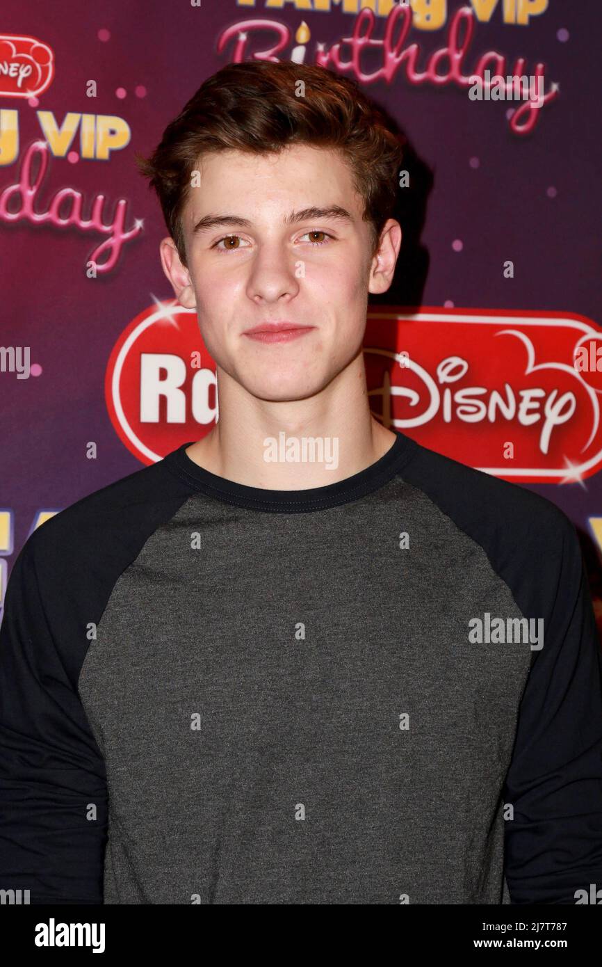LOS ANGELES NOV 22 Shawn Mendes at the Radio Disney's Family VIP