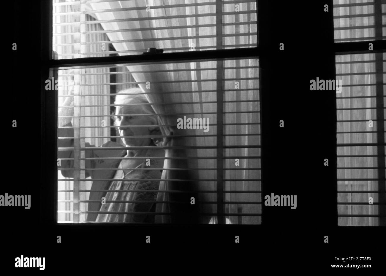 AN ELDERLY LADY STARES OUT INTO THE NIGHT THROUGH THE BLINDS OF HER HOUSE. Stock Photo
