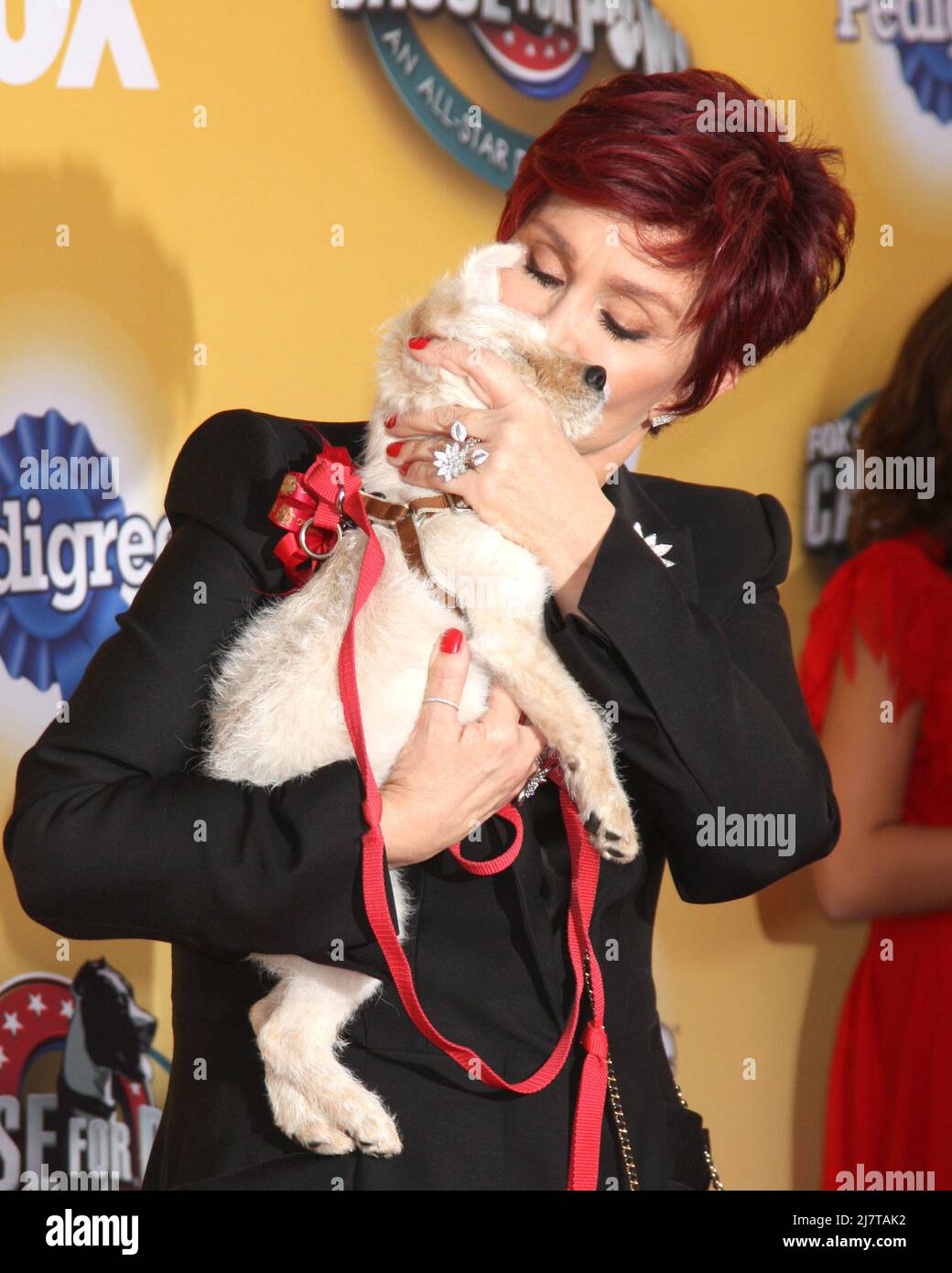 LOS ANGELES - NOV 22:  Sharon Osbourne at the FOX's 'Cause for Paws:  All-Star Dog Spectacular' at the Barker Hanger on November 22, 2014 in Santa Monica, CA Stock Photo