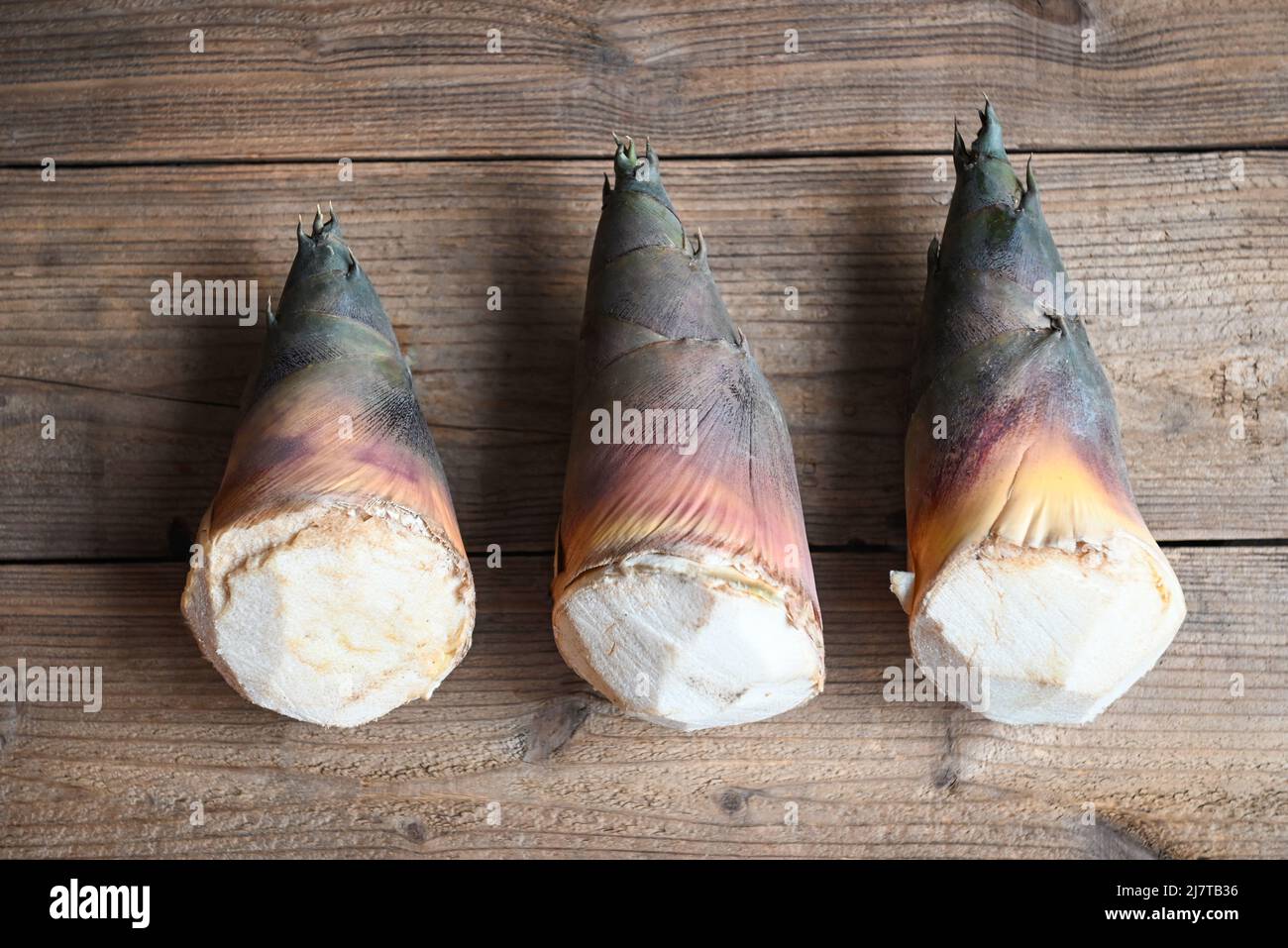 Bamboo shoots on wooden table background, Fresh raw bamboo shoot for