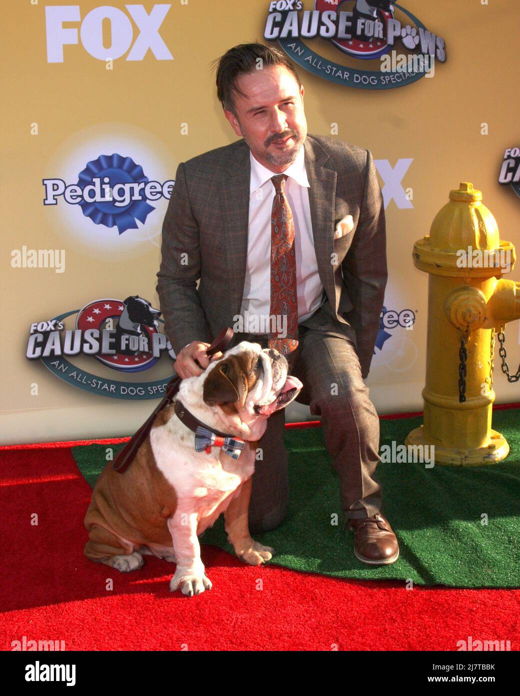 LOS ANGELES - NOV 22: David Arquette at the FOX's "Cause for Paws: All