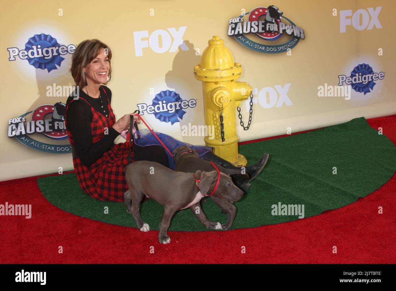 LOS ANGELES - NOV 22:  Wendie Malick at the FOX's "Cause for Paws:  All-Star Dog Spectacular" at the Barker Hanger on November 22, 2014 in Santa Monica, CA Stock Photo