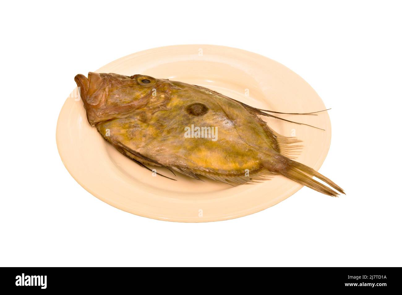 Cleaned and ready to cook fresh fish dulger, dulger fish, in porcelain plate Stock Photo