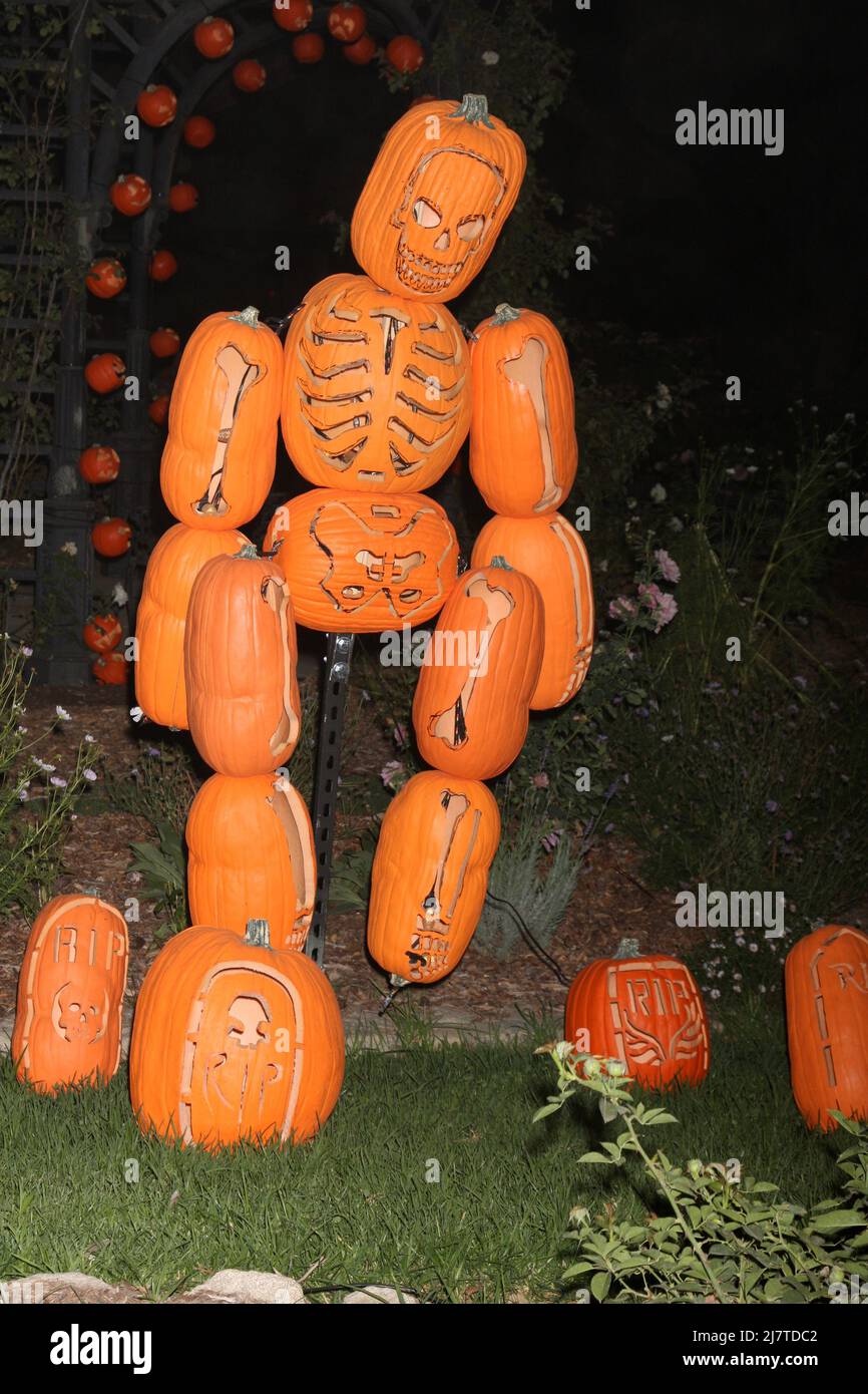 LOS ANGELES - OCT 4: Carved Pumpkins at the RISE of the Jack O'Lanterns at Descanso Gardens on ...