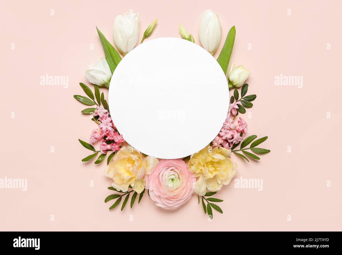 Composition with blank card and beautiful flowers on pink background ...