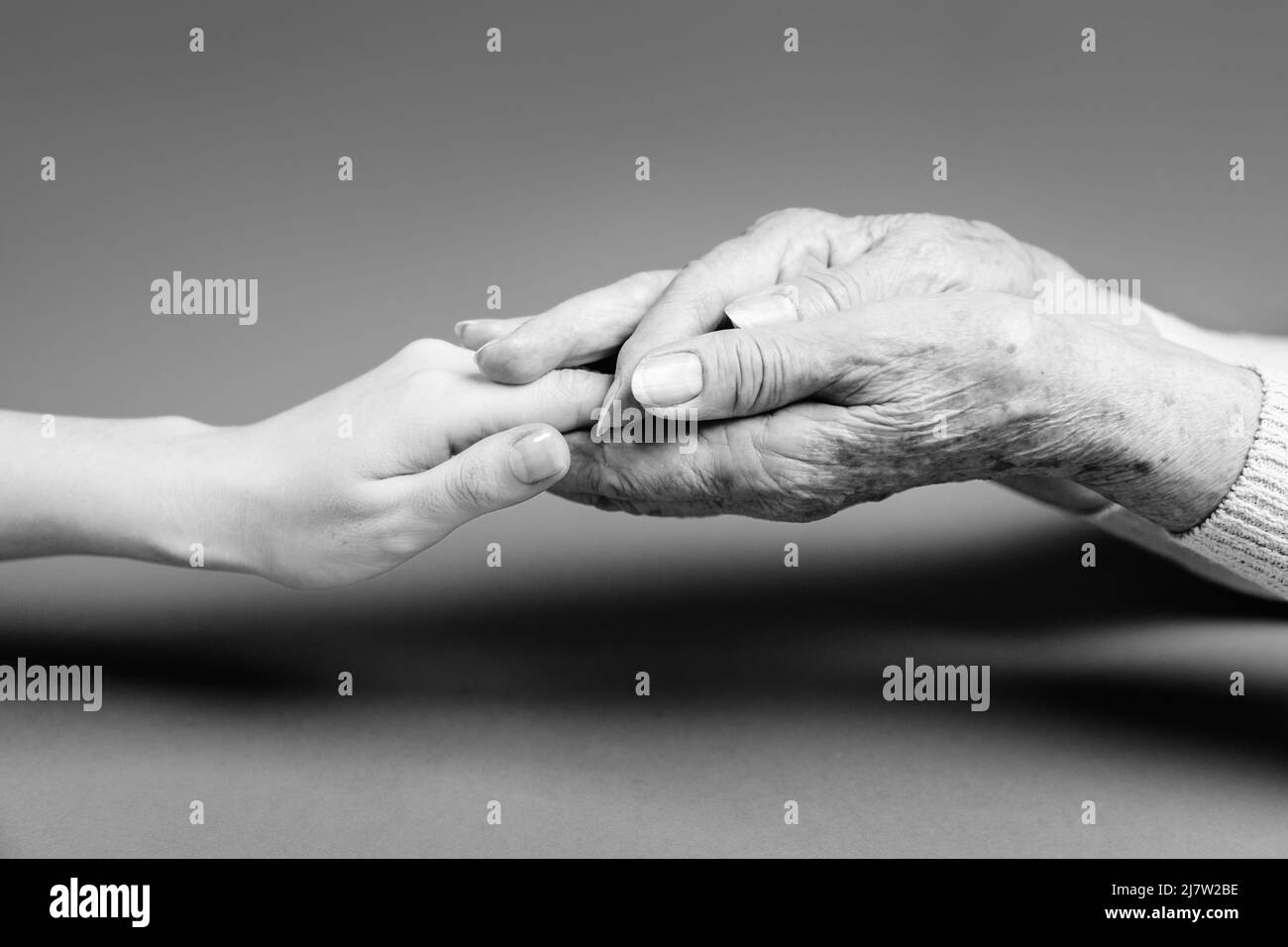 An elderly woman holds her daughter's hand in her palms. Close-up. Monochrome. The concept of family and caring for relatives. Stock Photo