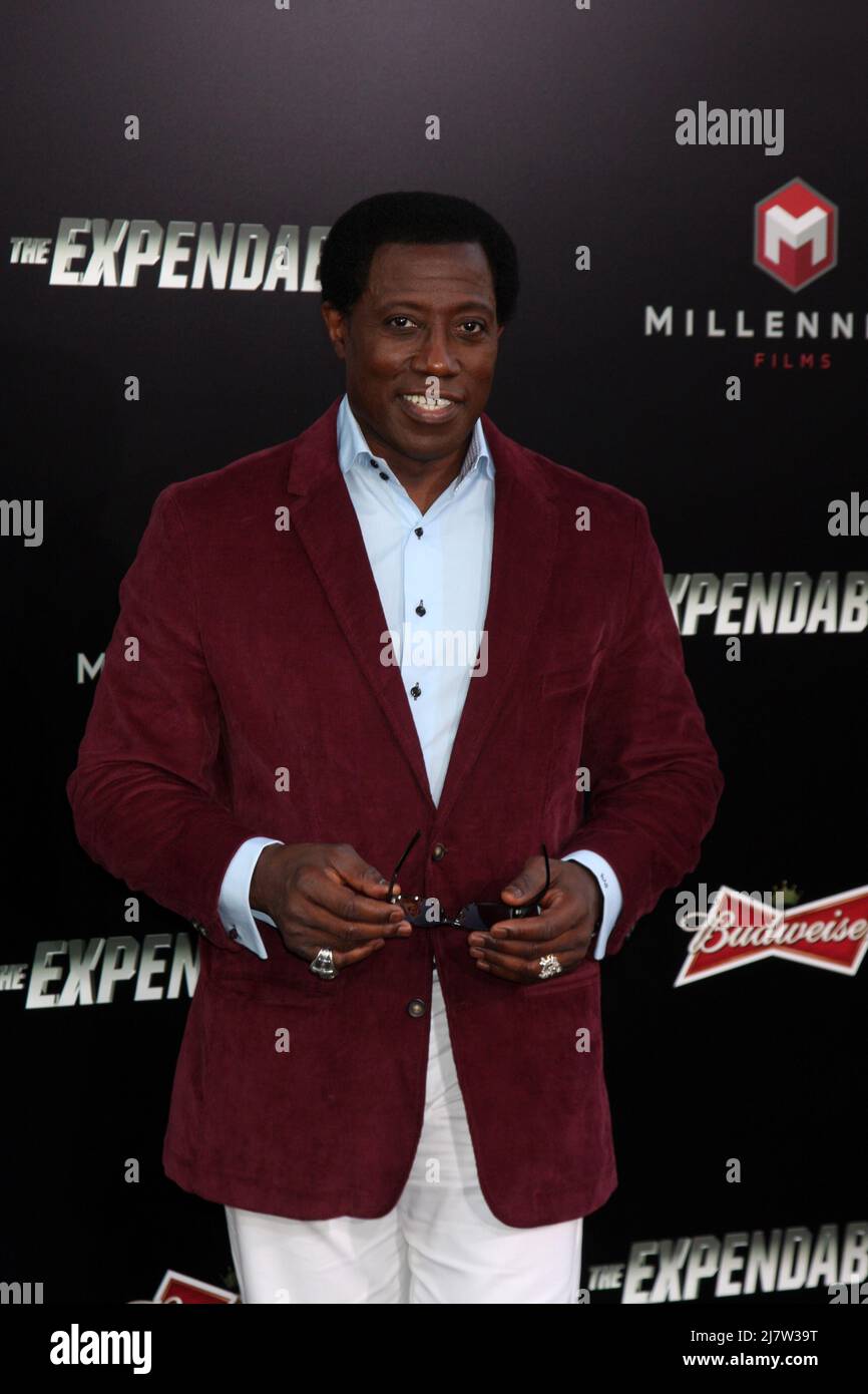 LOS ANGELES - AUG 11: Wesley Snipes at the 