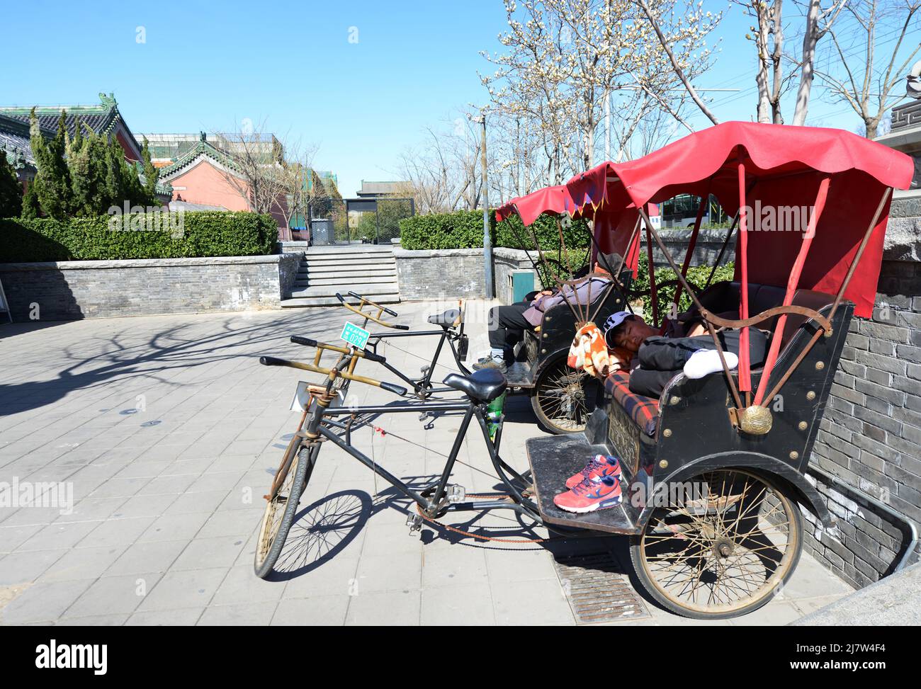 Fire Rickshaw Tourist cycle rickshaw driver sleeping on the rickshaw outside the Di ...
