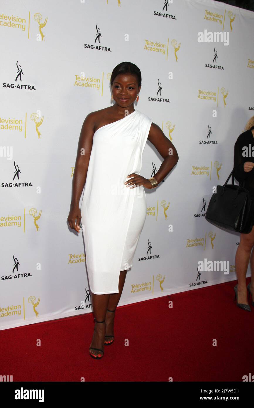 LOS ANGELES - AUG 12:  Erica Tazel at the Dynamic & Diverse:  A 66th Emmy Awards Celebration of Diversity Event at Television Academy on August 12, 2014 in North Hollywood, CA Stock Photo