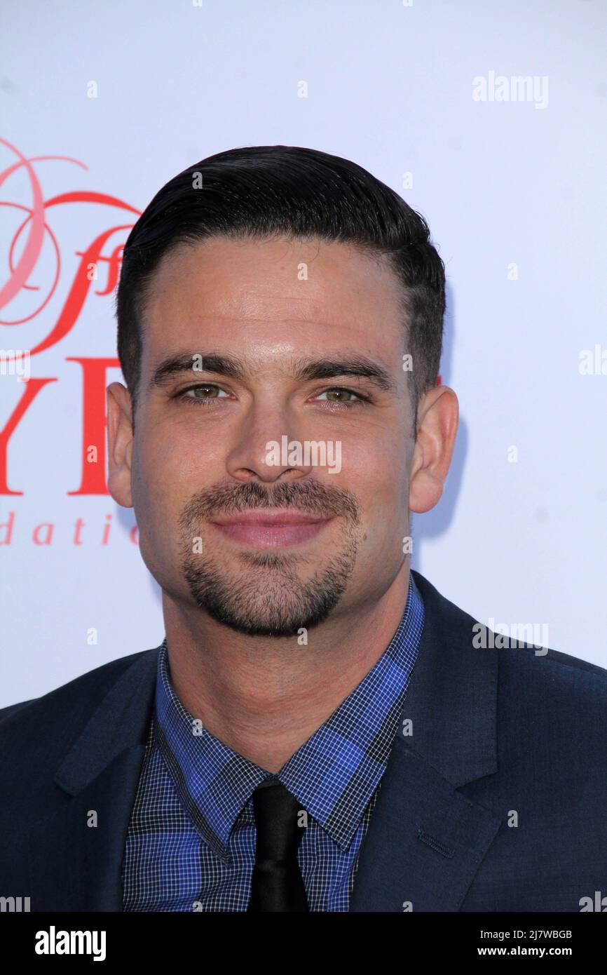 LOS ANGELES - JUL 19:  Mark Salling at the 4th Annual Celebration of Dance Gala at Dorothy Chandler Pavilion on July 19, 2014 in Los Angeles, CA Stock Photo