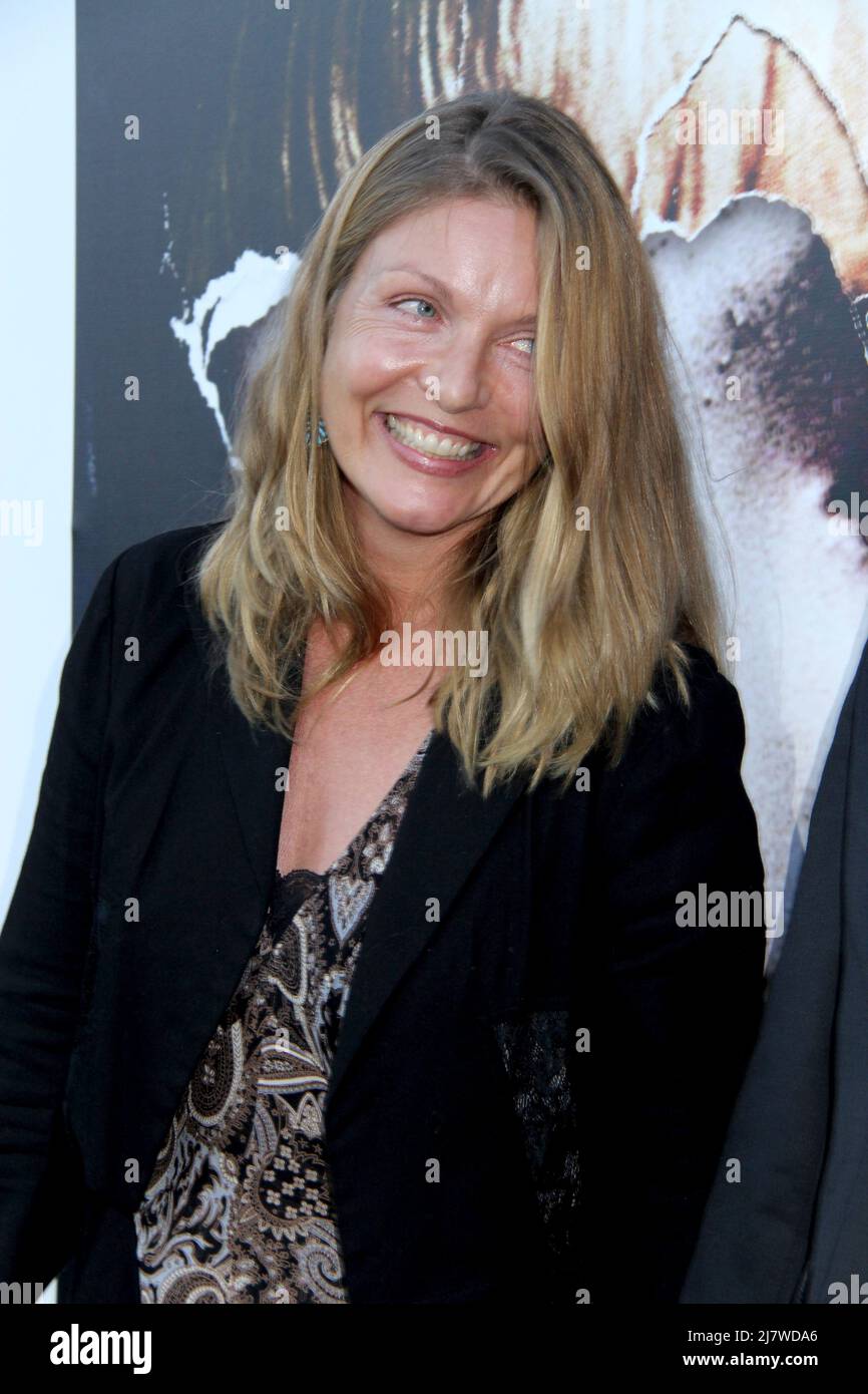 LOS ANGELES - JUL 16:  Sheryl Lee at the 'Twin Peaks - The Entire Mystery' Blu-Ray/DVD Release Party And Screening at the Vista Theater on July 16, 2014 in Los Angeles, CA Stock Photo