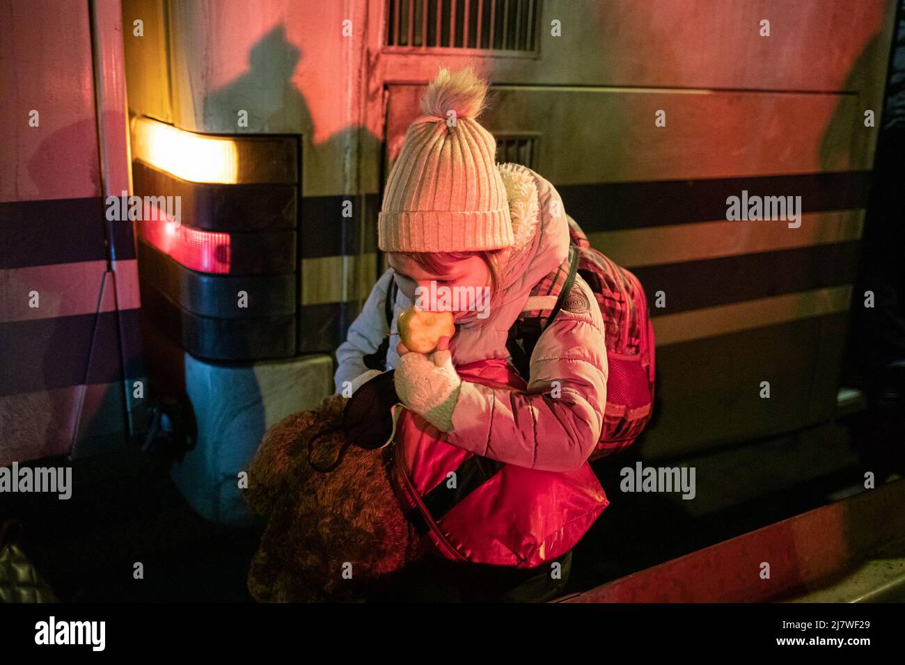 Simon Becker / Le Pictorium -  Ukrainian refugees at the Polish border -  5/3/2022  -  Poland / Hrebenne  -  A little girl eats an apple after getting Stock Photo