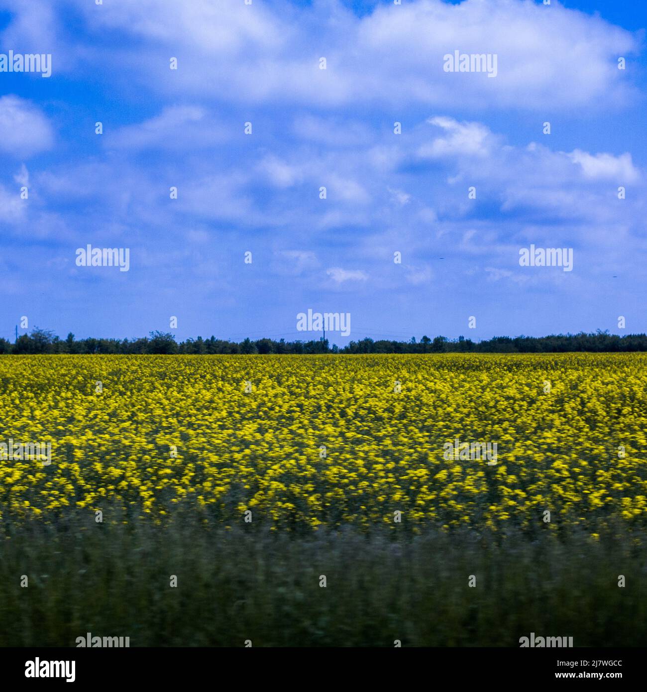 Michael Bunel / Le Pictorium -  The colors of Ukraine -  10/05/2014  -  Ukraine / Donbass / Odessa  -  On the road between Odessa and Donetsk. Blue fi Stock Photo