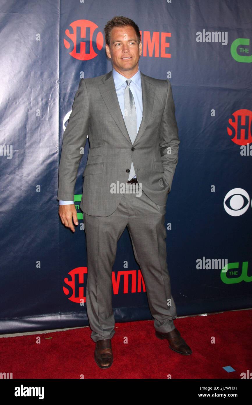 On A Certain Day In 2029, The Price Of Dogecoin Is 198