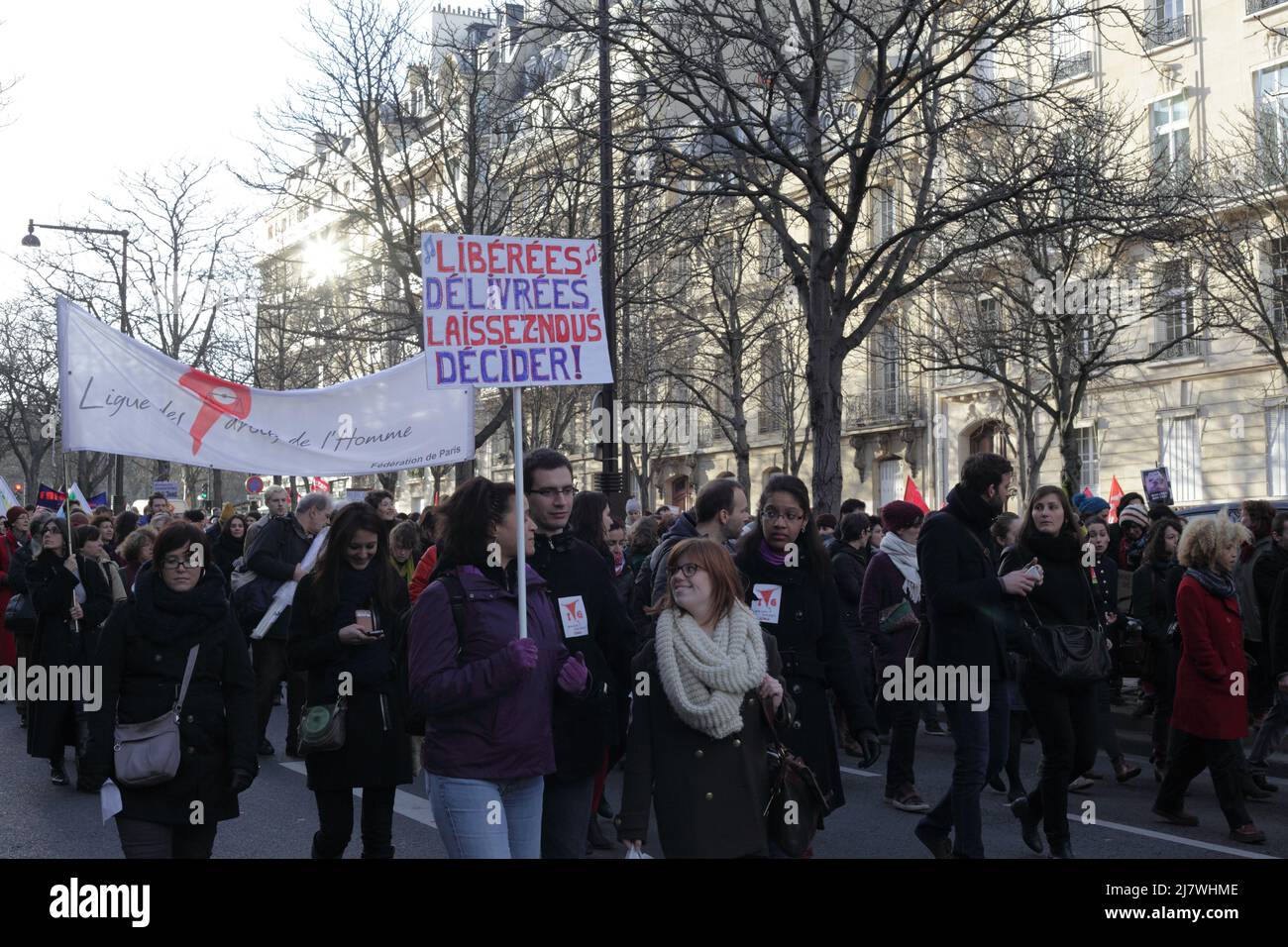 Paris : Manifestation contre le projet de loi anti-avortement en Espagne 01er février 2014. 'Libérées, délivrées, laissez-nous décider' Stock Photo