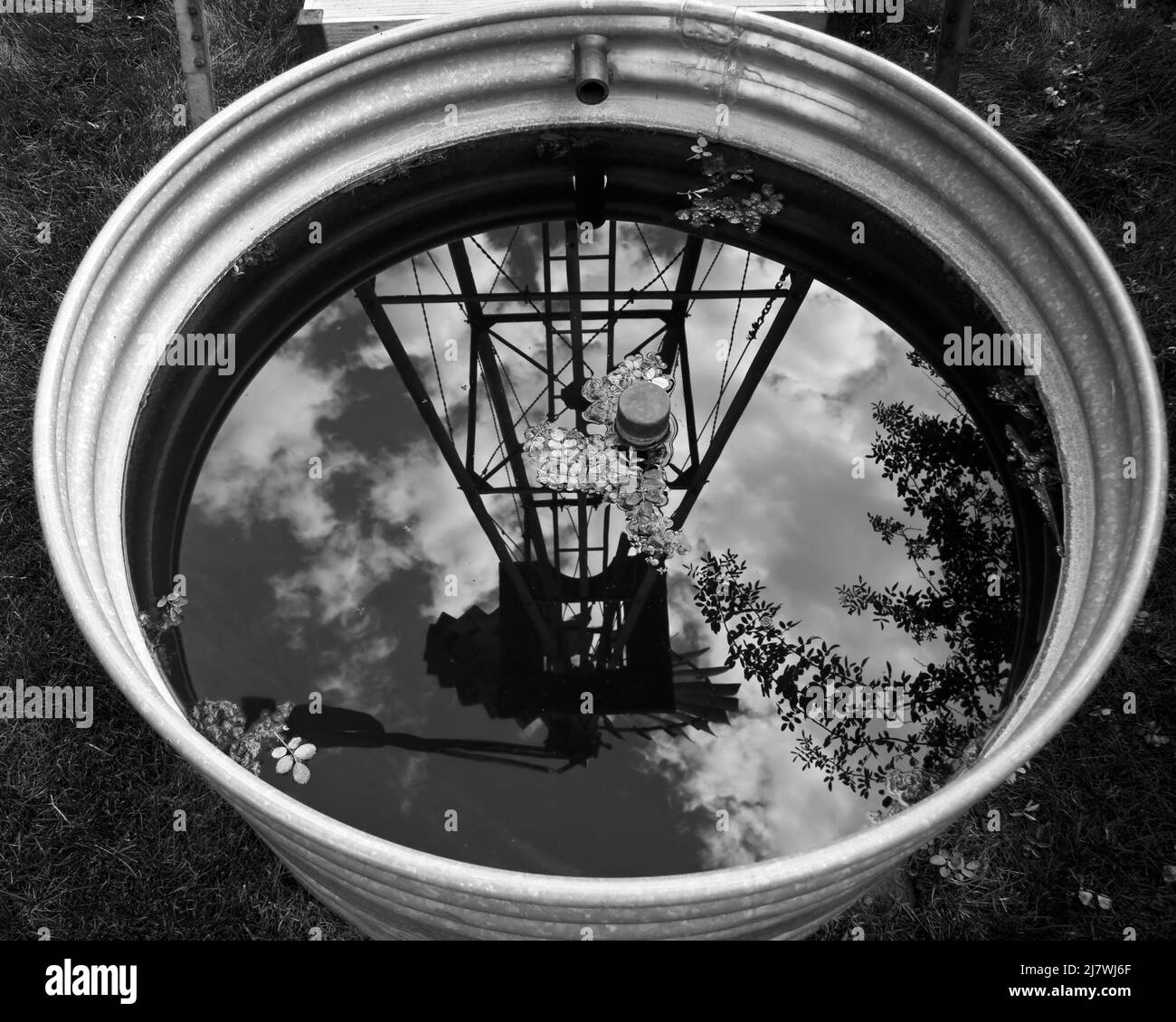 Water tub with a reflection of a windmill Stock Photo Alamy