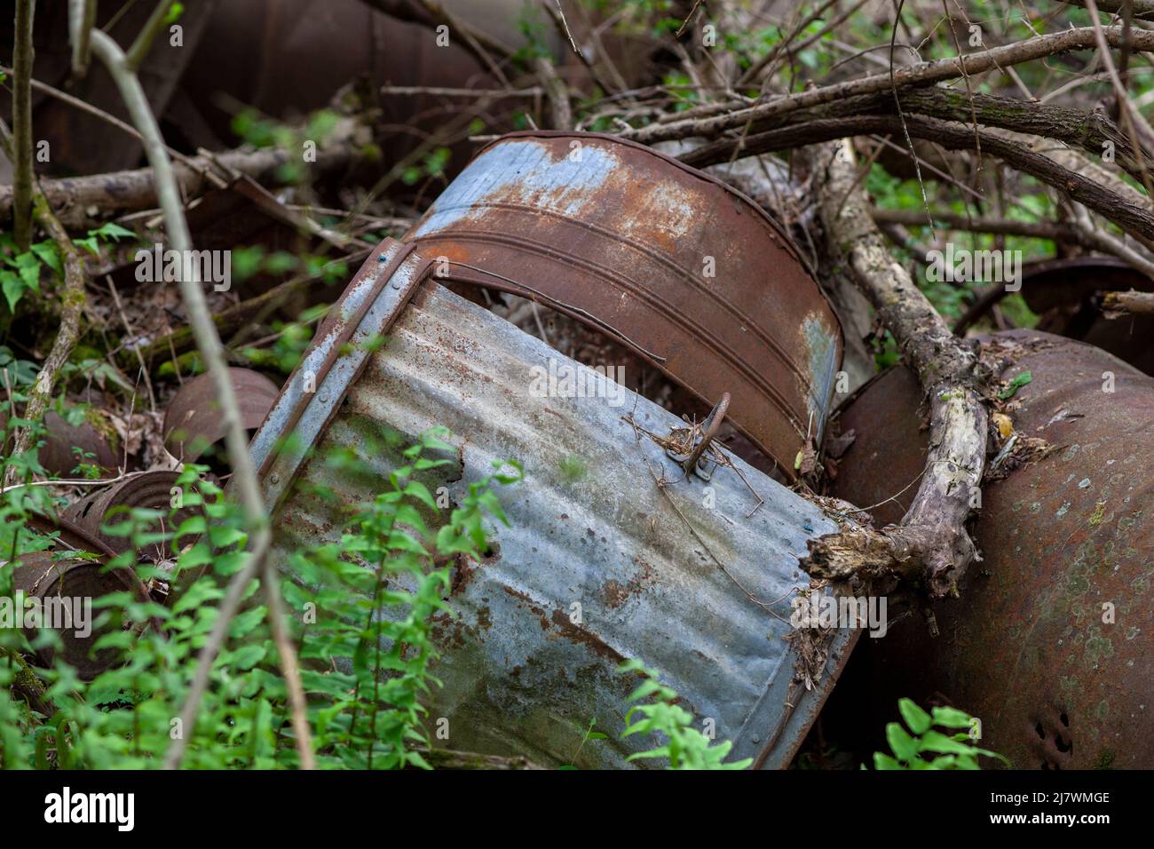 Rusty old tin cans and glass bottles decaying in at dump site in the forest. Stock Photo