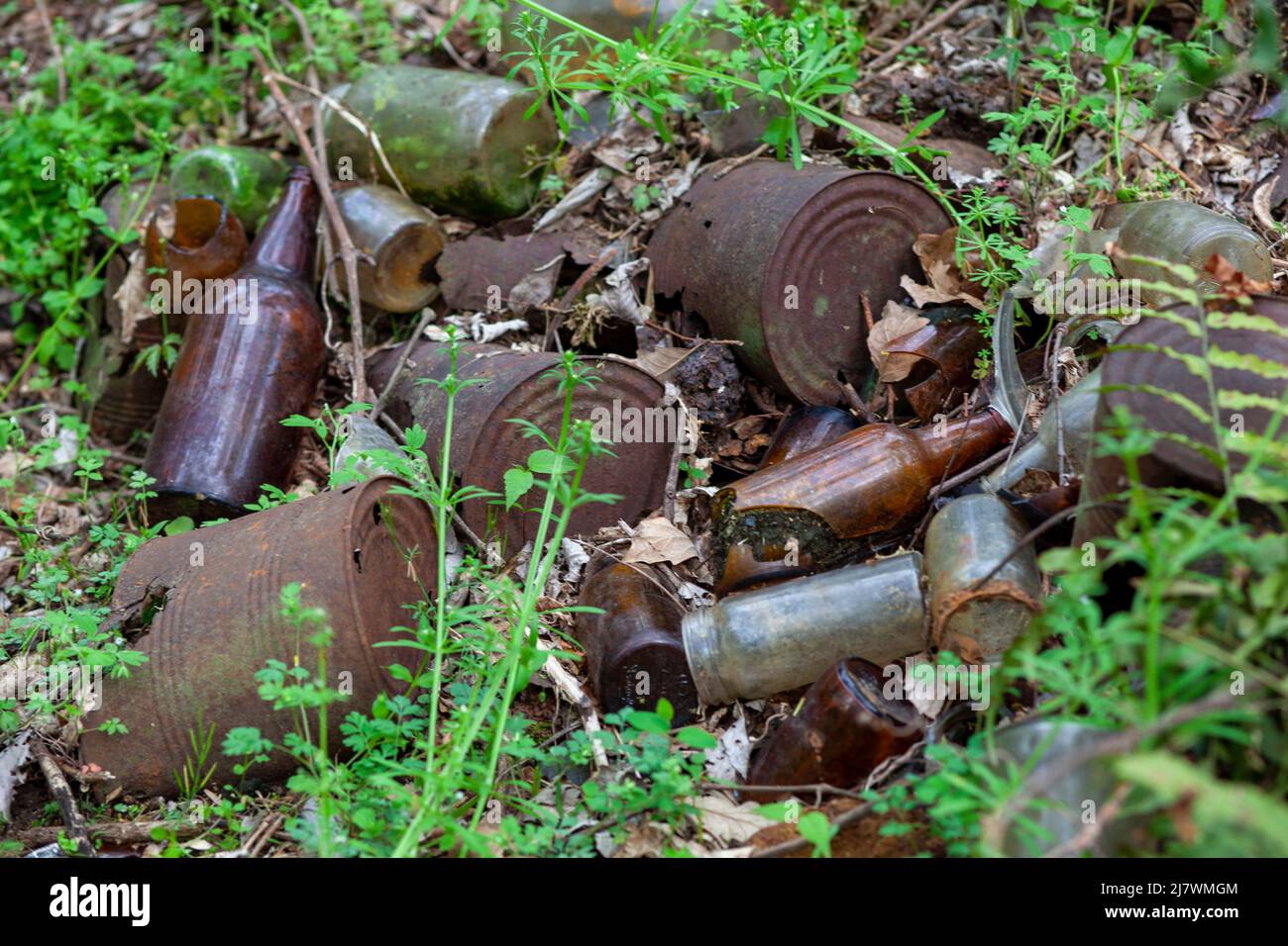 Rusty old tin cans and glass bottles decaying in at dump site in the