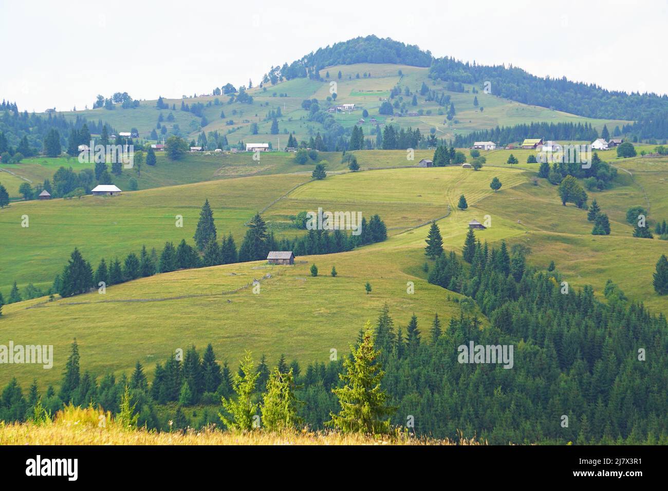 Beautiful green fields around Tihuța Pass, a high mountain pass, situated in the Bârgău Mountains Stock Photo