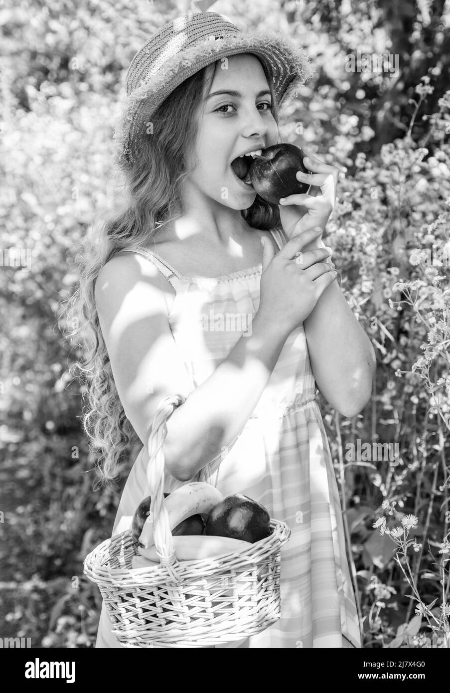 Strong teeth for good eat. Little kid bite apple in garden. Dental