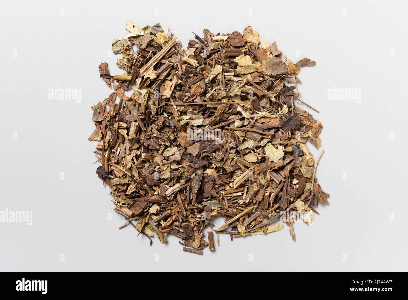top view herb ShiJianChuan or Chinese Sage Herb Stock Photo Alamy