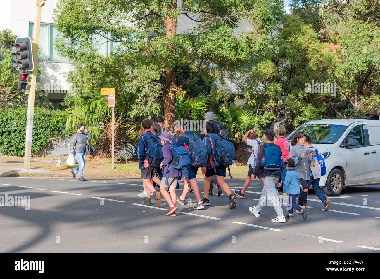 Australian school children in the state of New South Wales, carrying backpacks, some accompanied by adults, crossing at a busy pedestrian crossing Stock Photo