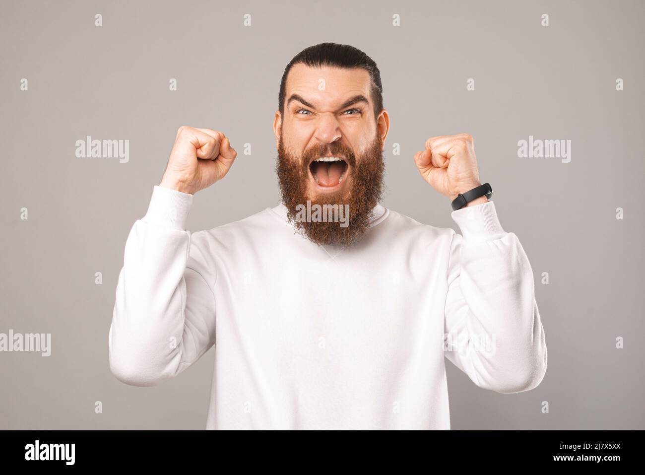 Powerful bearded man is screaming and making the winner gesture. Sudio shot over grey backdrop. Stock Photo