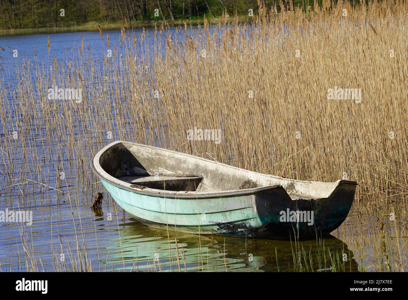 an old light green boat floats on the lake at an angle of 20 degrees among the water reeds Stock