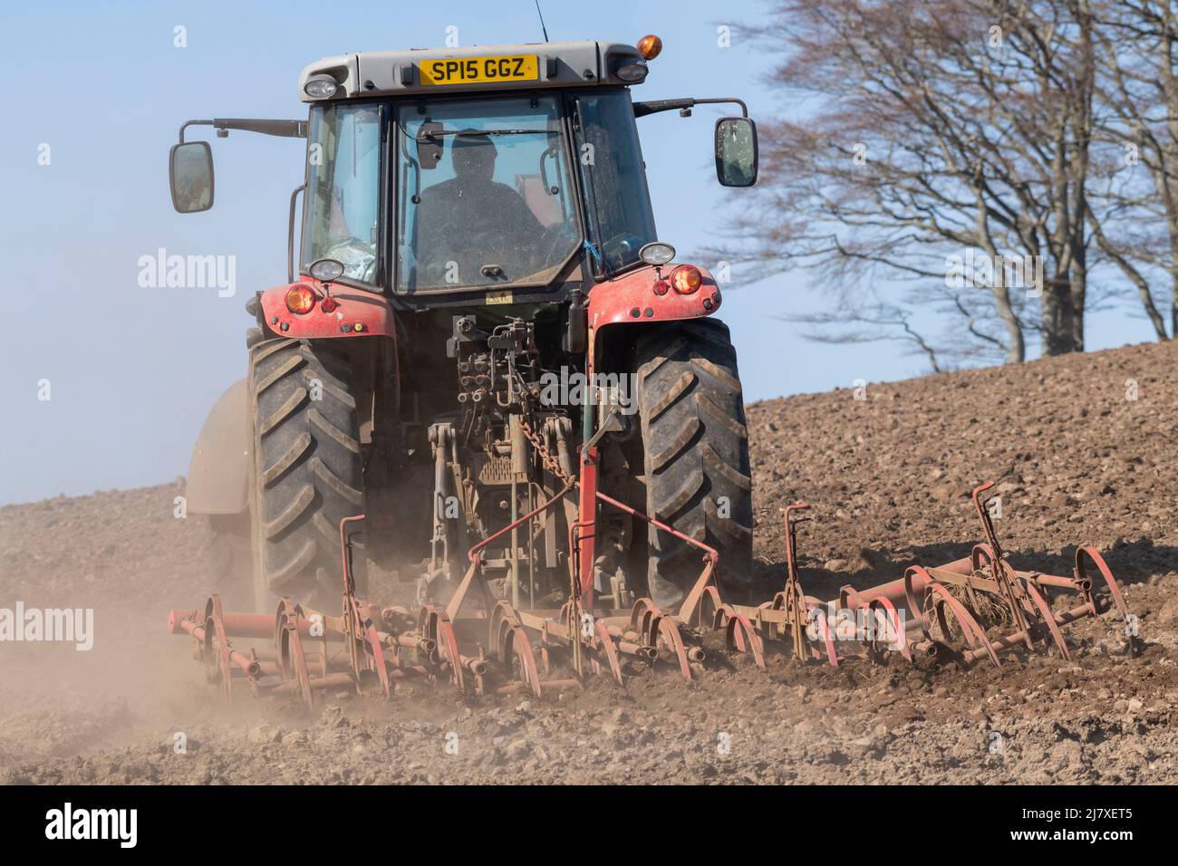 Rear View of a Red Tractor Operating in a Ploughed Field with a Tine Cultivator in Spring Stock Photo