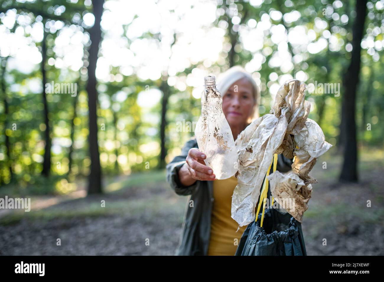 Senior woman ecologist with bin bag picking up waste outdoors in forest. Stock Photo