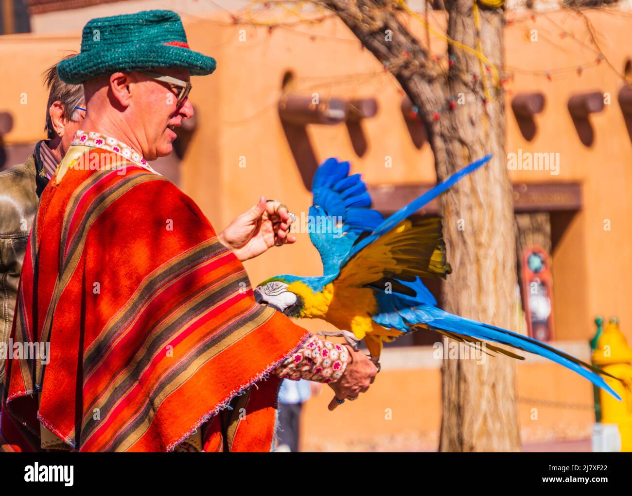 Santa Fe, New Mexico/USA- March 2, 2022: man taking his pet parrot for a walk in the Plaza Stock Photo