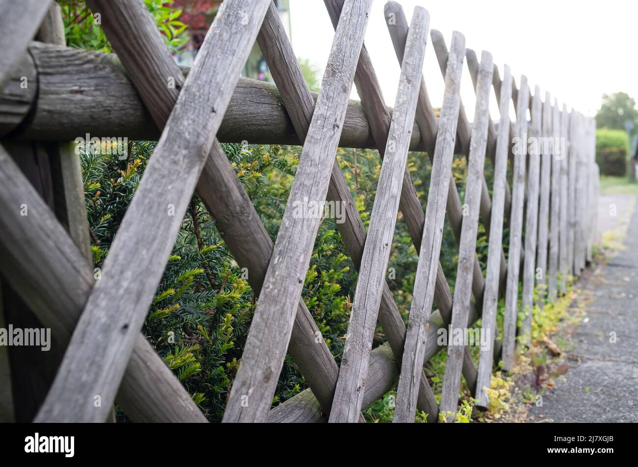 Old wooden fence shrub hi-res stock photography and images - Alamy
