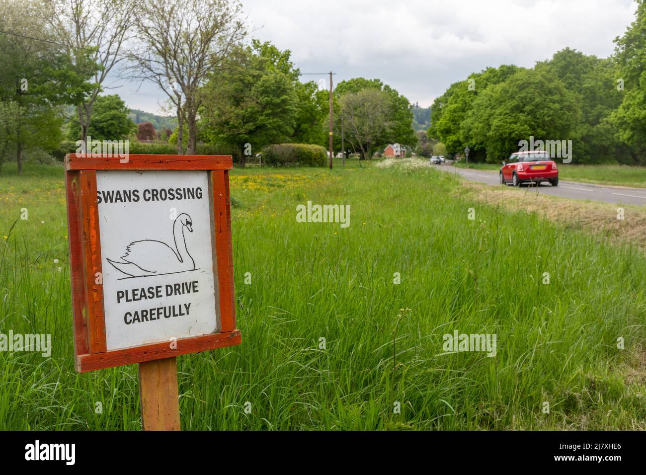 Swans crossing, wildlife crossing road sign in Dunsfold village, Surrey, England, UK Stock Photo