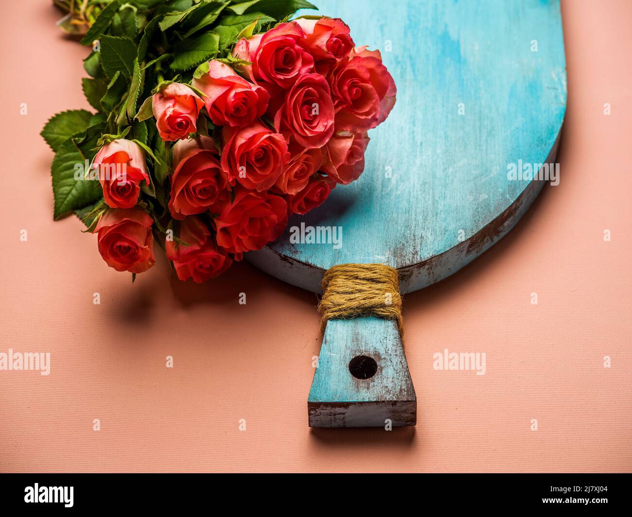 Roses over a pink background Stock Photo