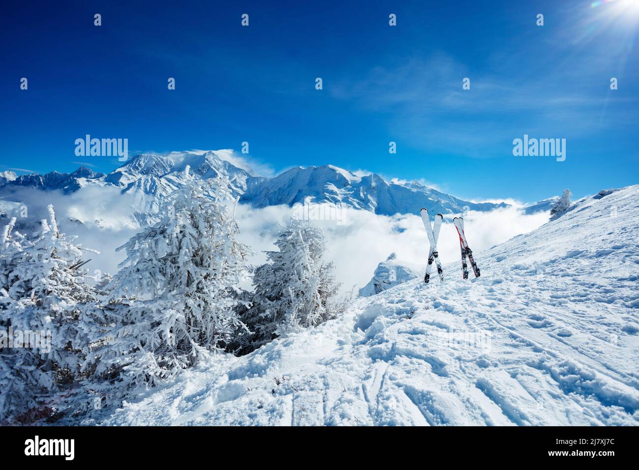 Snow covered bushes, trees and two pair of alpine skis Stock Photo