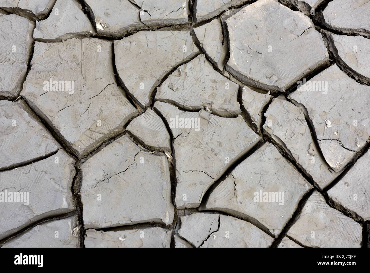 Abstract background of fine dry cracked mud at low tide in estuary of river bed Stock Photo