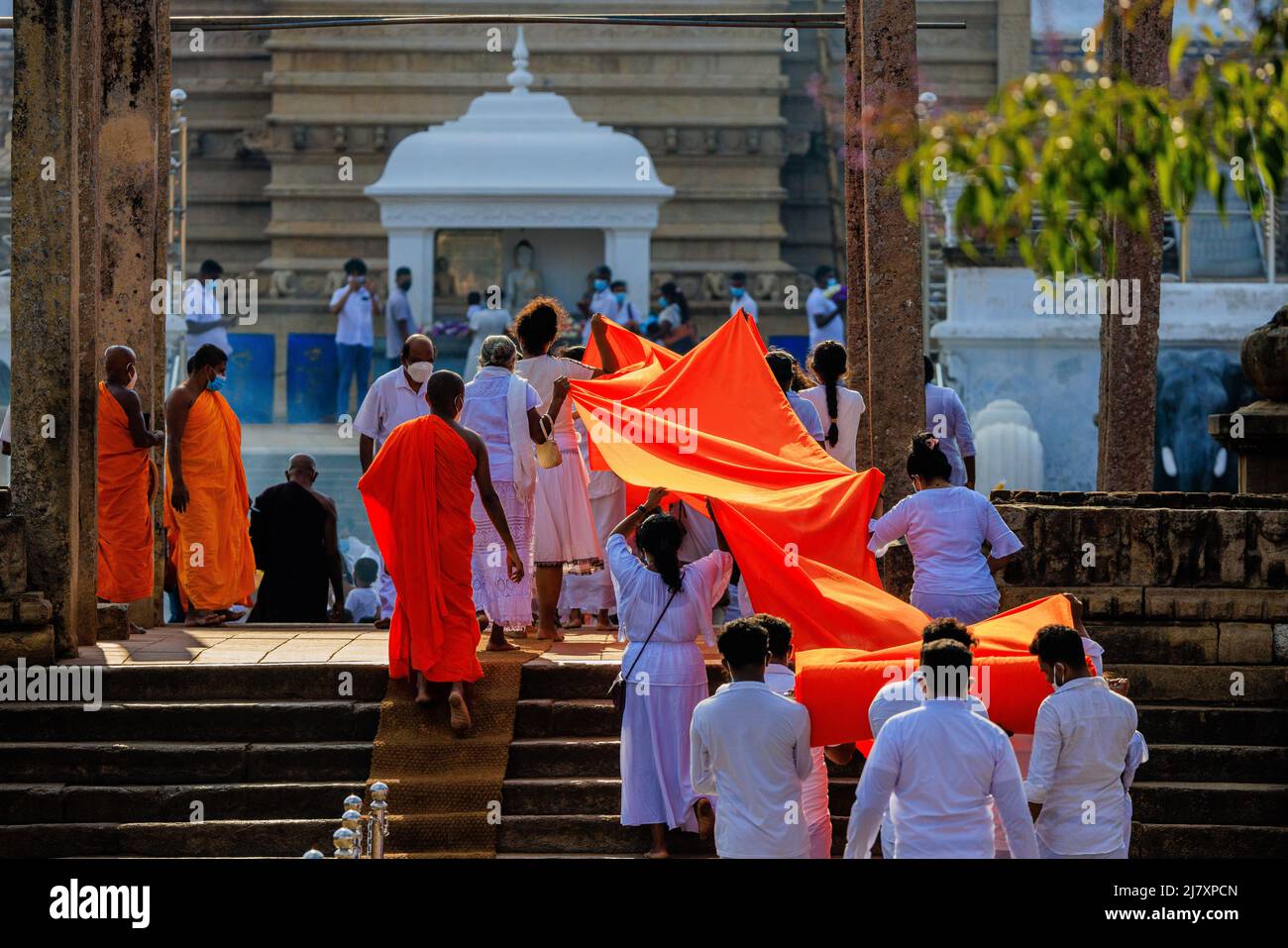 buddhist monks in orange clothes and followers dressed in white bring a