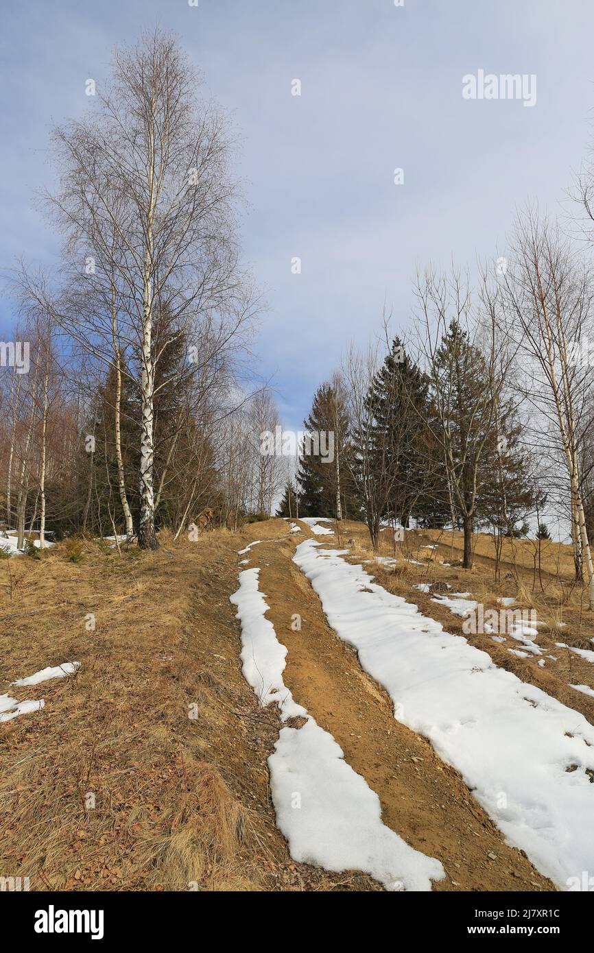 Tree field last snow hi-res stock photography and images - Alamy