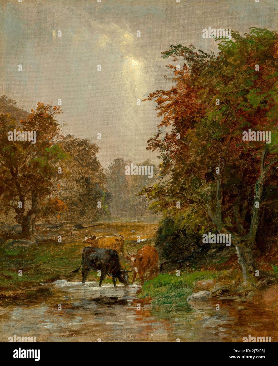 Cattle by a Stream, 1895 Stock Photo