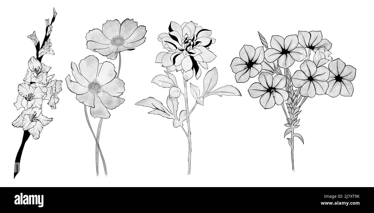 big set of flowers. Hand-drawn. design greeting card and invitation of the wedding, birthday, Valentine's Day, mother's day and other holiday Stock Photo