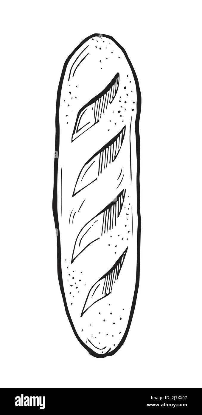 Traditional regular loaf. Traditional banana. White bread. Hand drawing