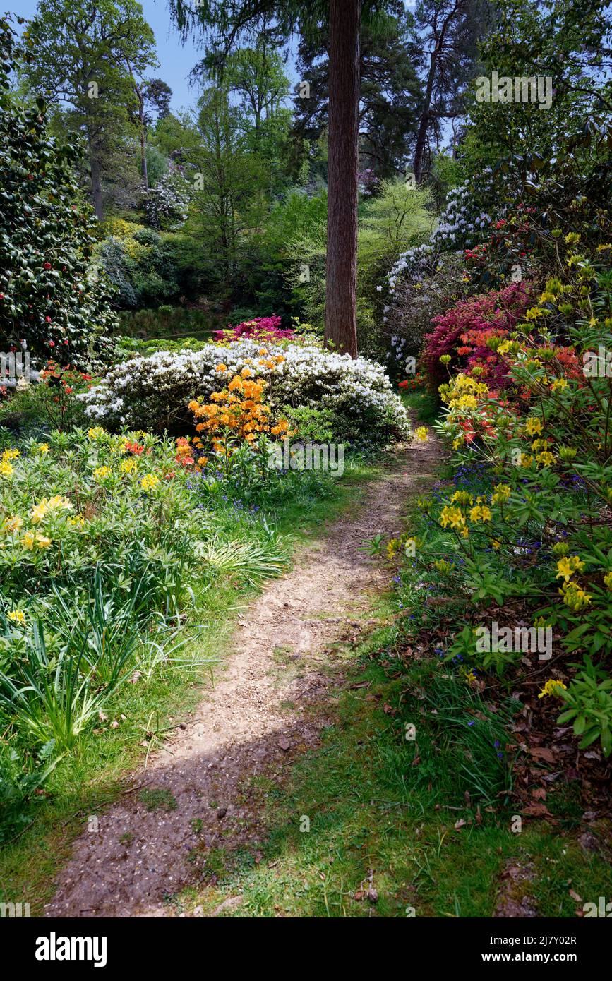 English Country Garden Stock Photo Alamy