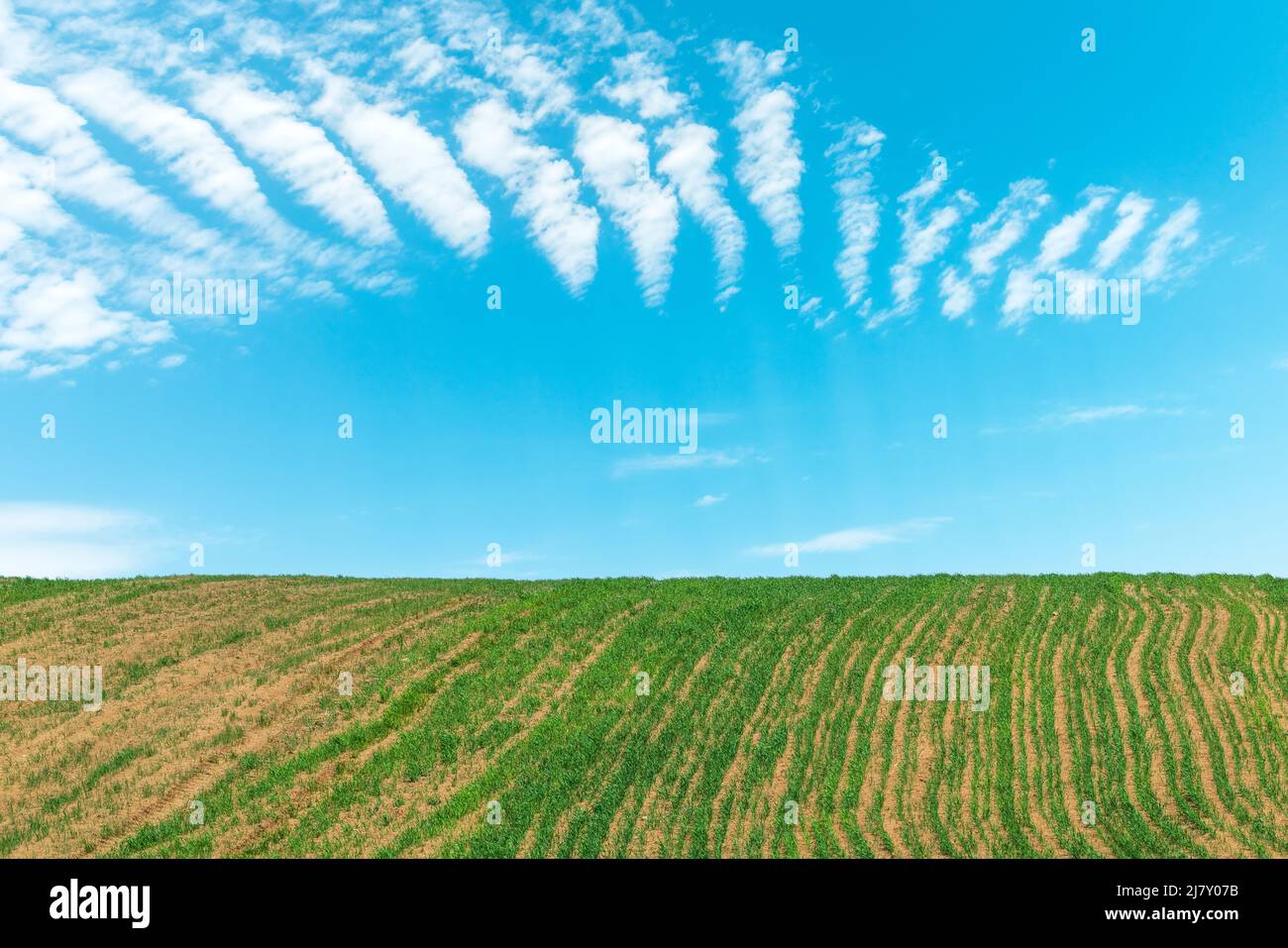 Lawn cultivated land hi-res stock photography and images - Alamy